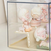 Acrylic Display Case